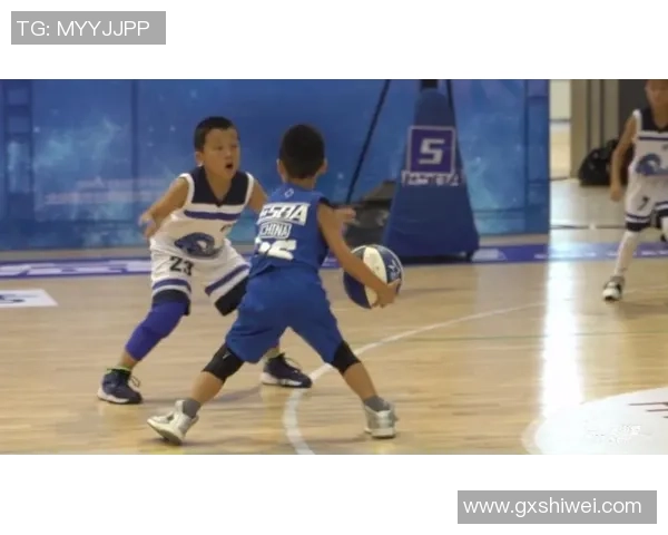 北京篮球队在精英赛中的实力分析与表现评估