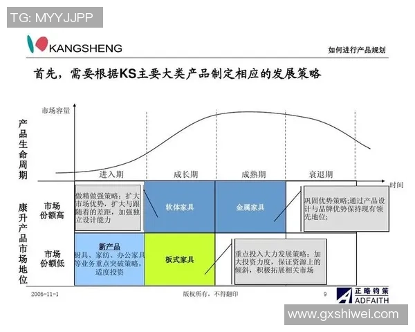 南京足球队运营全景解析：从管理模式到市场策略的深度剖析